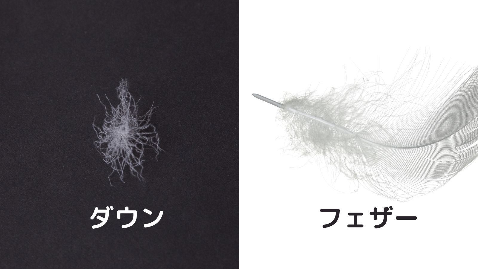 50 は微妙 ダウンケットのダウン率はどれを選ぶ 違いを解説 ふとんマニア